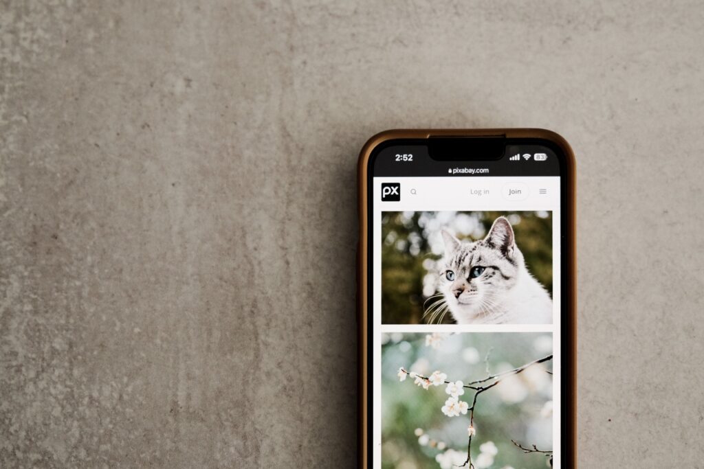 Photo Organization App Statistics