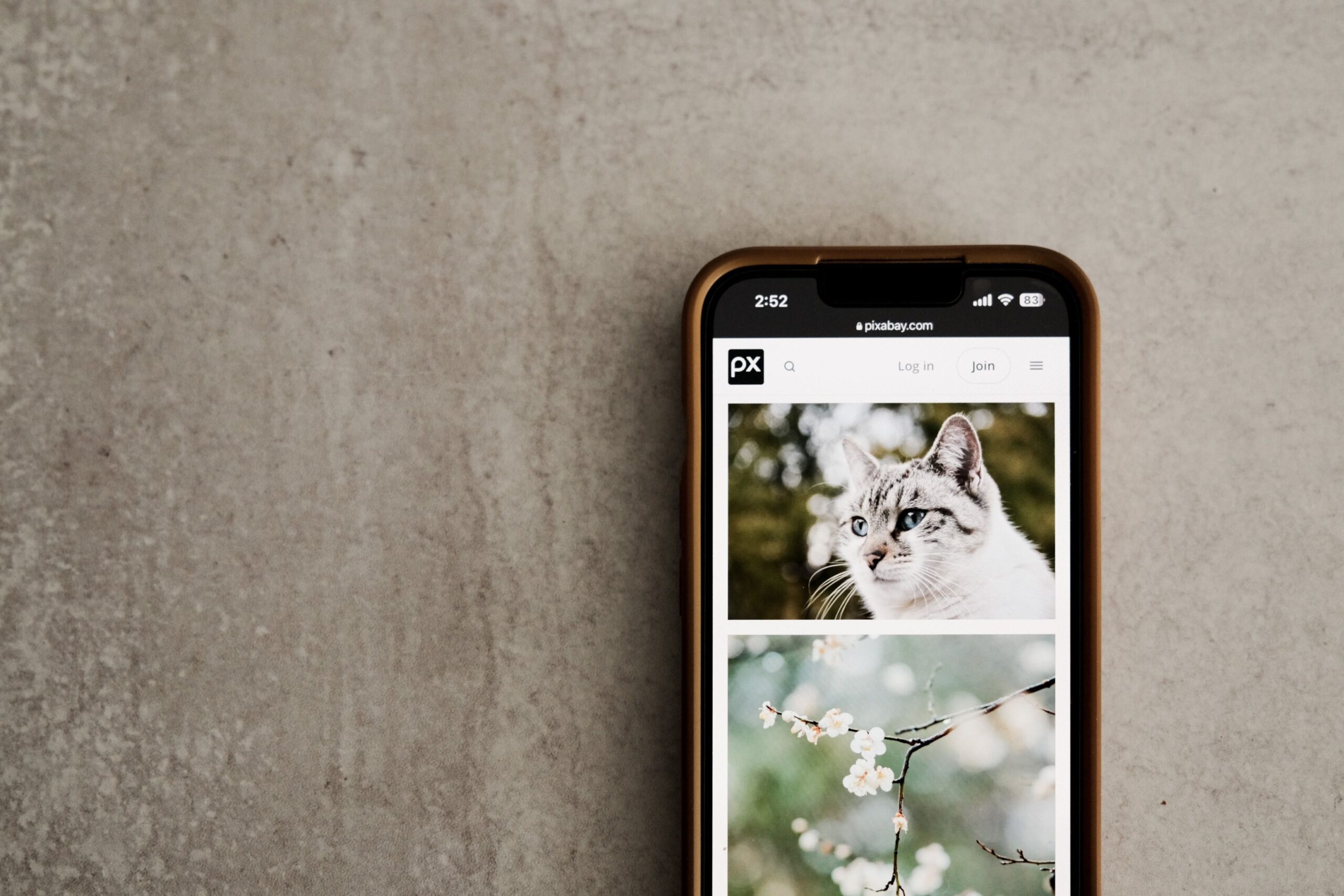 26 Photo Organization App Statistics